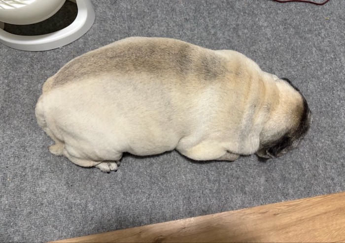 生牡蠣