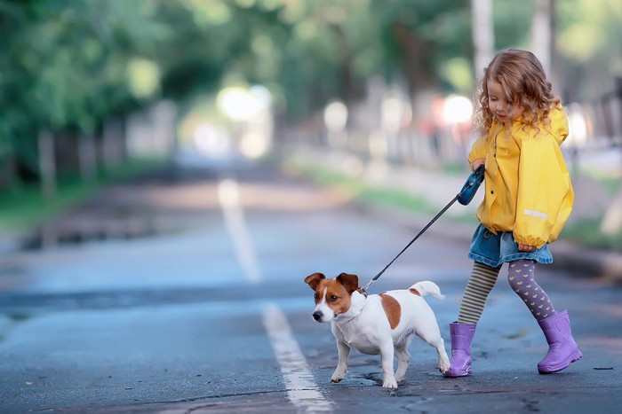 犬の散歩