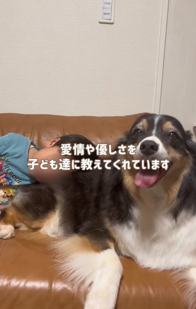 子どもと犬