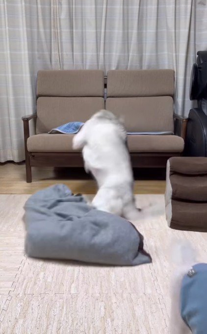 まさかの大コケ！！