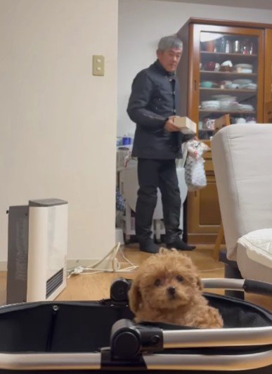 お父さんが帰宅