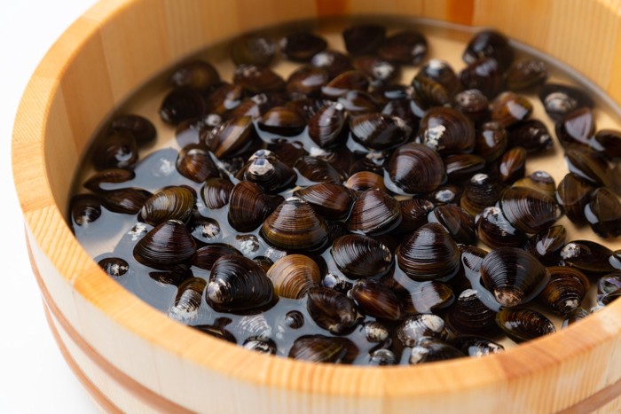 水を張った桶に入れられたしじみ