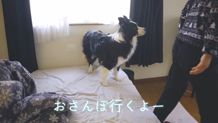 「もっと一緒にゴロゴロしたかったな~」