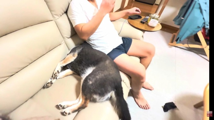 お互いに譲りません！