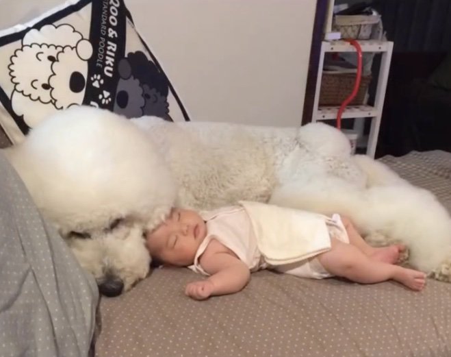 寄り添ってZZZ…