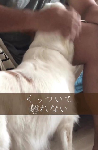 「大丈夫？」