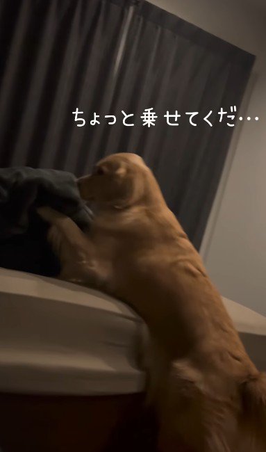 パパと一緒に寝たい