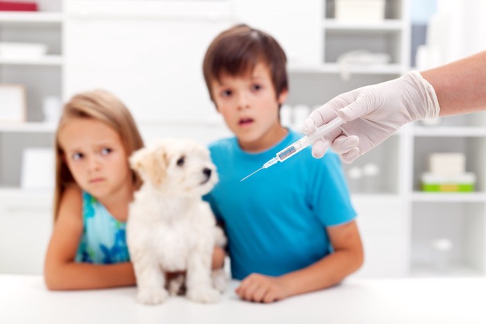 注射器を見つめる子供と犬