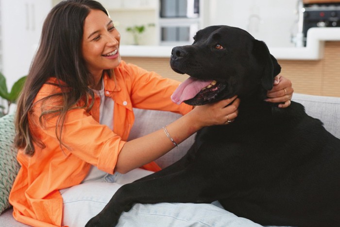 大型犬に話しかける女性