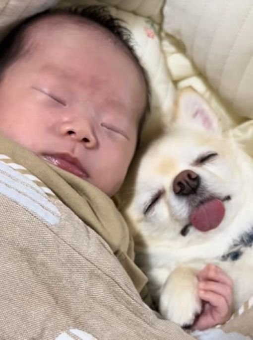 まるで双子のよう♪