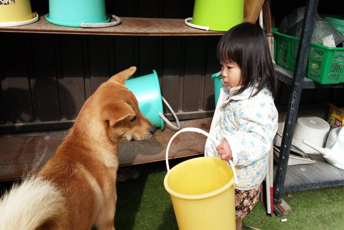 犬と見つめあう女の子