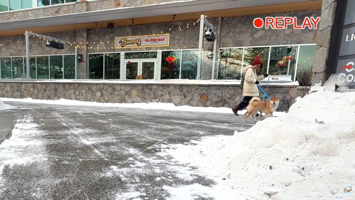 そのままフレームアウト（笑）