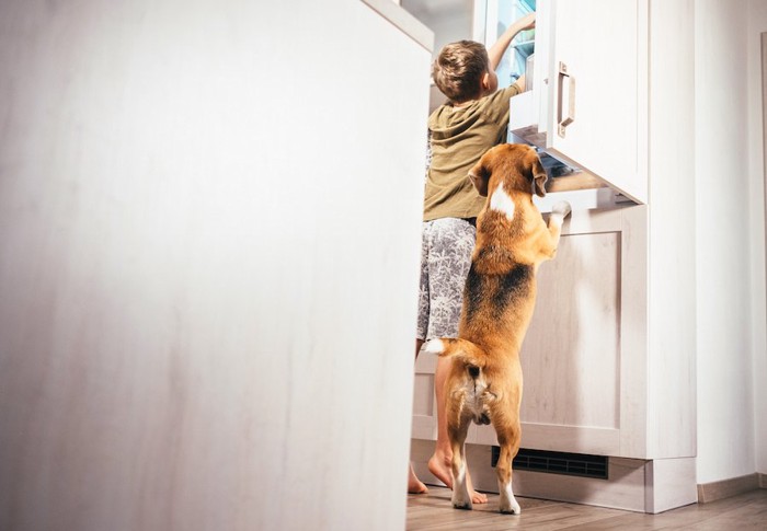 男の子と一緒に棚を覗く犬の後ろ姿