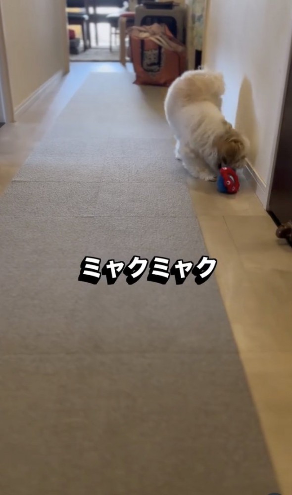 必死で運んでいます