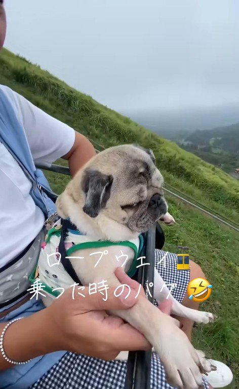 リフトに乗るデビちゃん