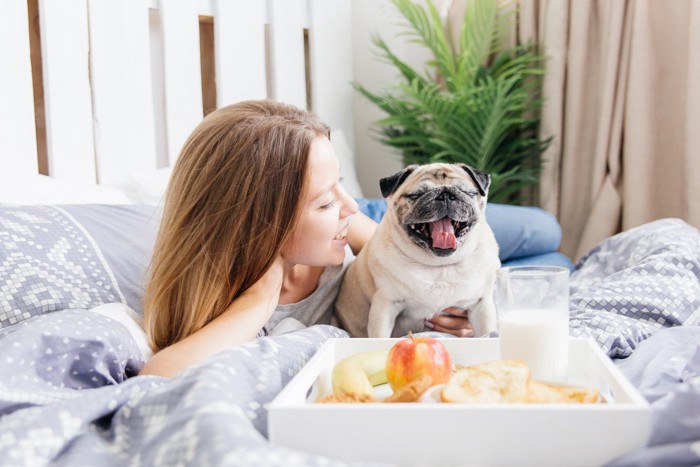 ベッドの上の女性と犬