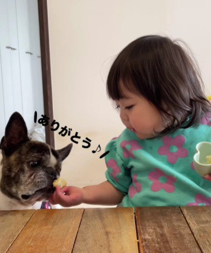 「はい、どーぞ」