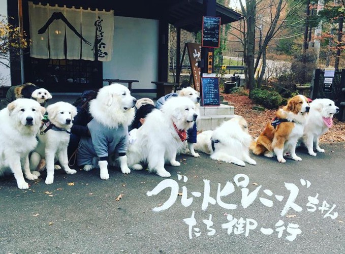 富士の茶屋 外観写真