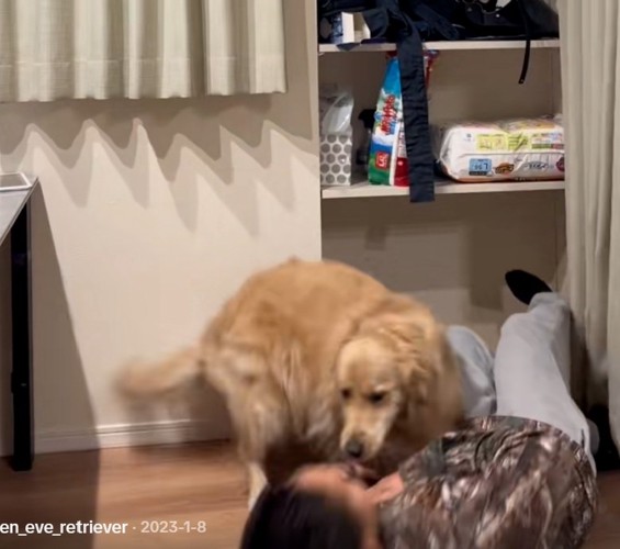 倒れる飼い主さん