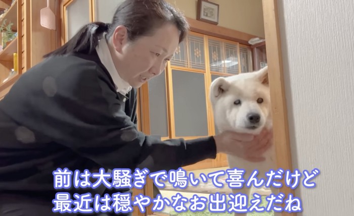 穏やかなお出迎え