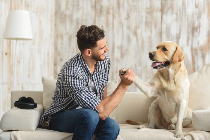 犬と握手する男性