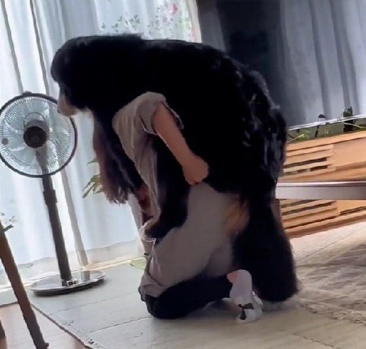 勢いよく背中へ飛び乗った