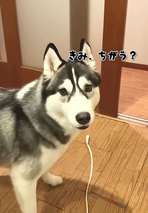 途中で人違いするも…