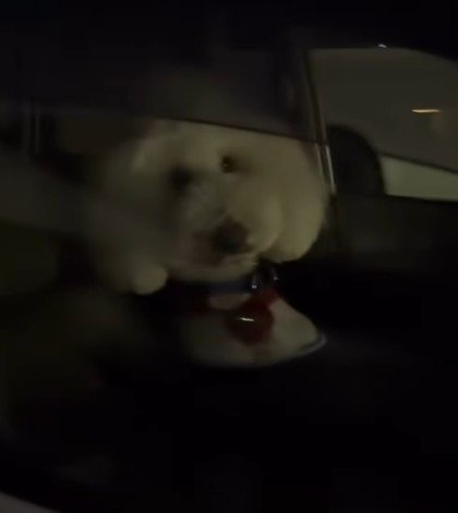 目が合ってフリーズ！！