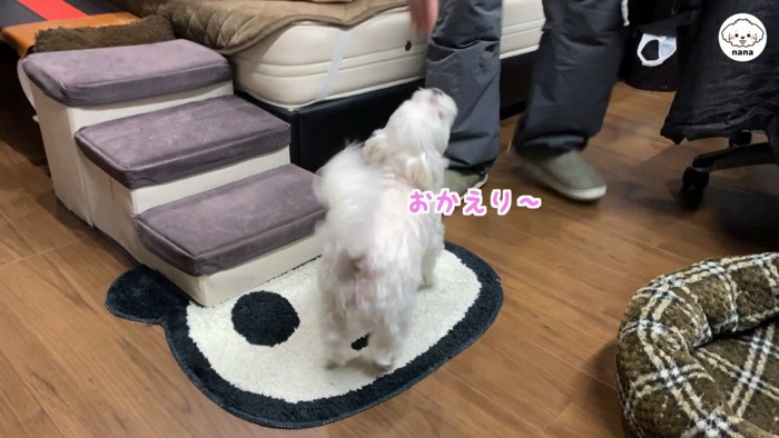ナナくんとパパさんの再会7