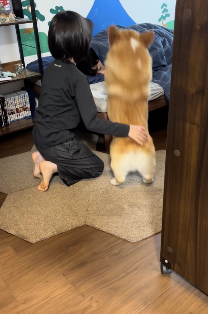 ベッドへジャンプ!