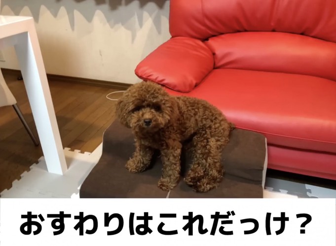お茶目さも開花