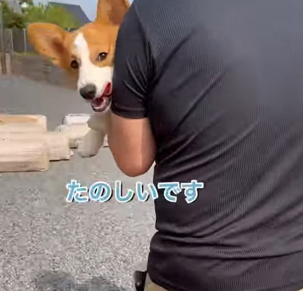 泥棒に連れていかれる犬