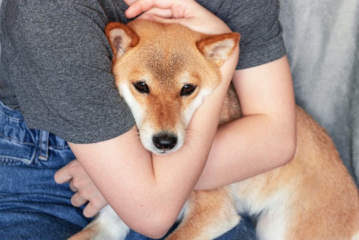 柴犬を抱きしめる女性