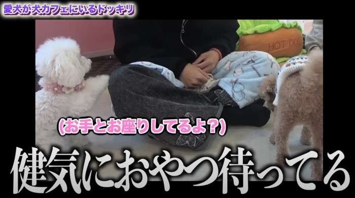 他の子が参戦