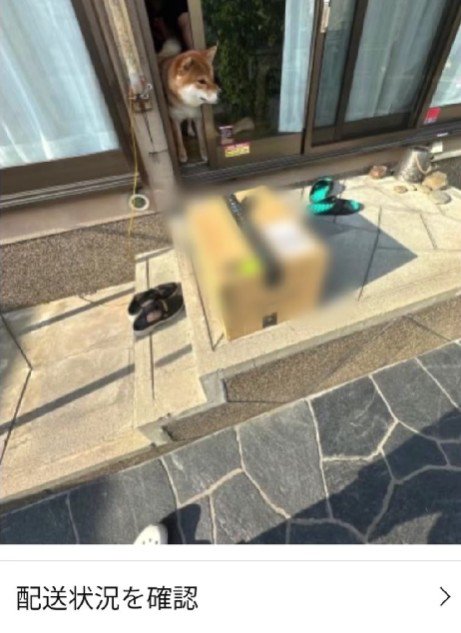 しっかりチェック