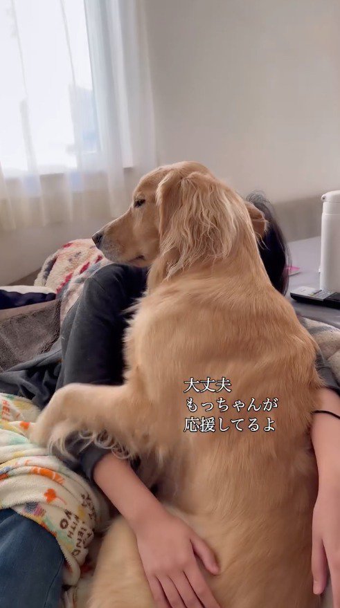 女の子の腕に前足を乗せる犬