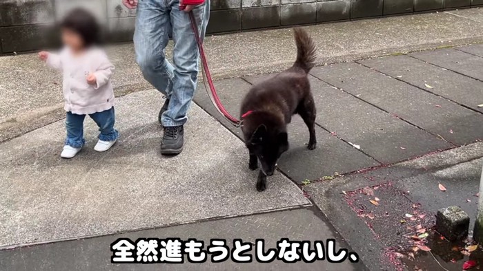 イトちゃんのペースに合わせます