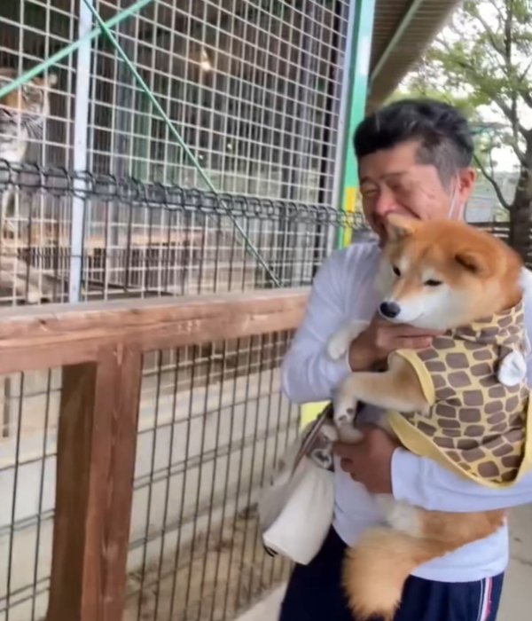 檻から離れる犬