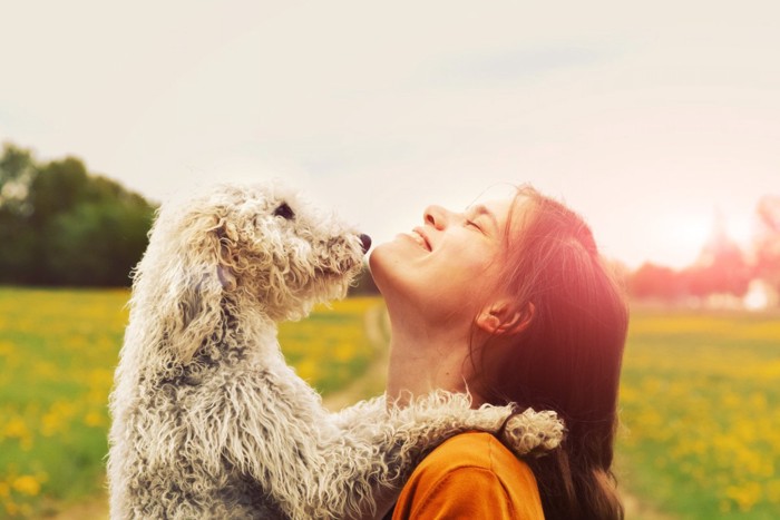 女の子と犬