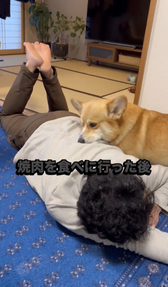 うつ伏せの人に顔を寄せる犬