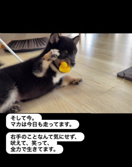 スクスク成長中！！