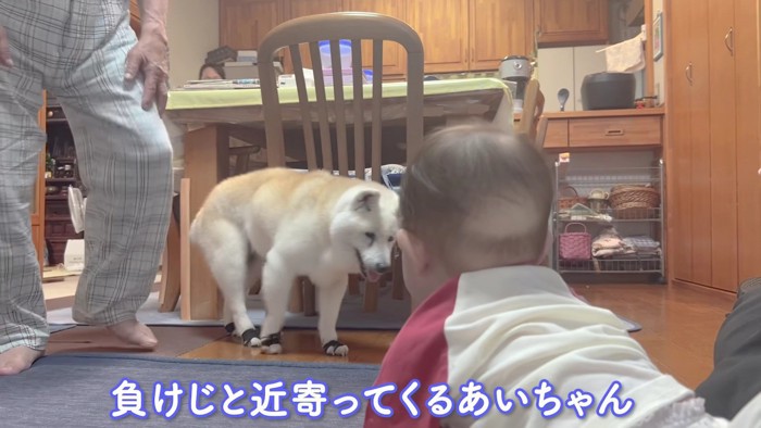 赤ちゃんのそばへ