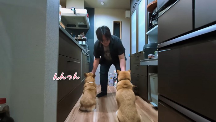 鶏肉をあげたら…