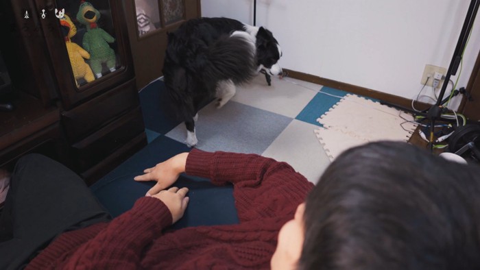 サッと離れてナデナデを拒否