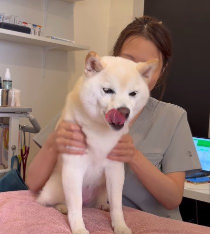 猫のような声で甘える…♡