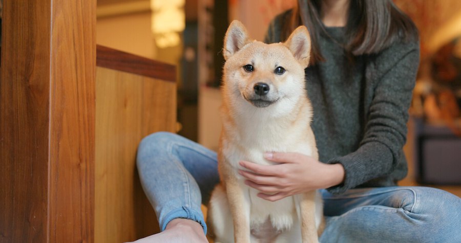 座る柴犬と寄り添う女性