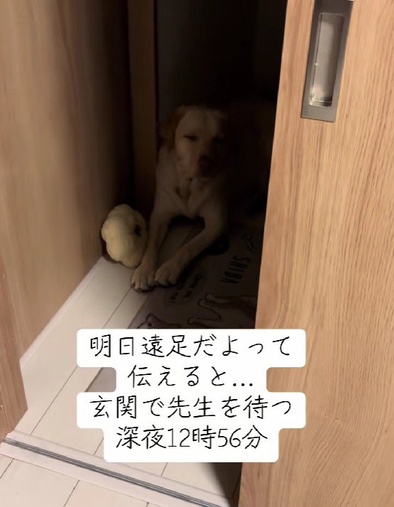 明日は遠足!!