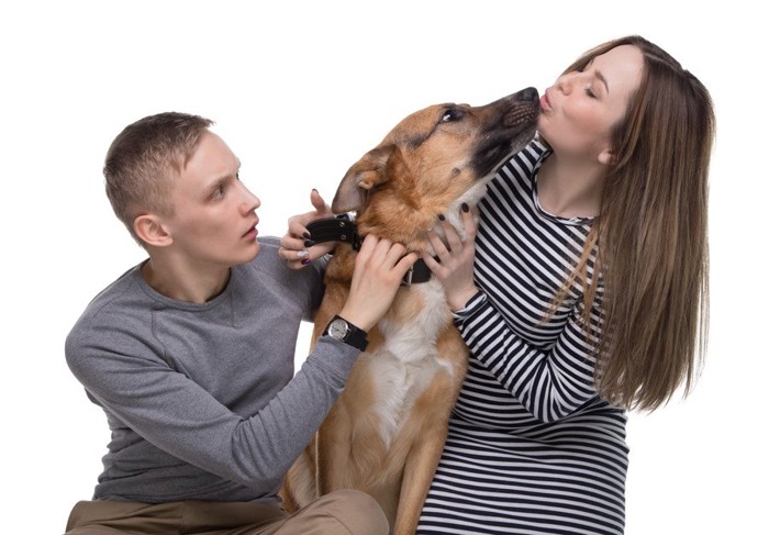 間に割って入る犬