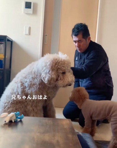 挨拶する大型犬
