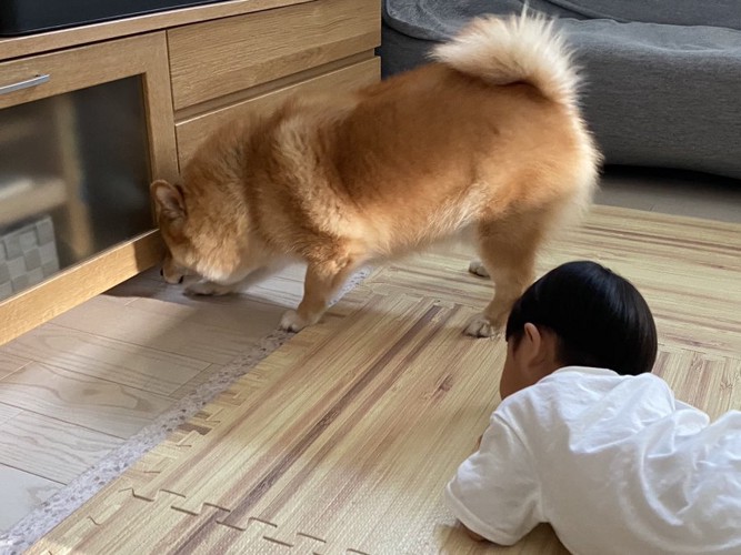 おもちゃが